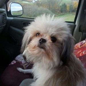 Meet your Posher, Brenda